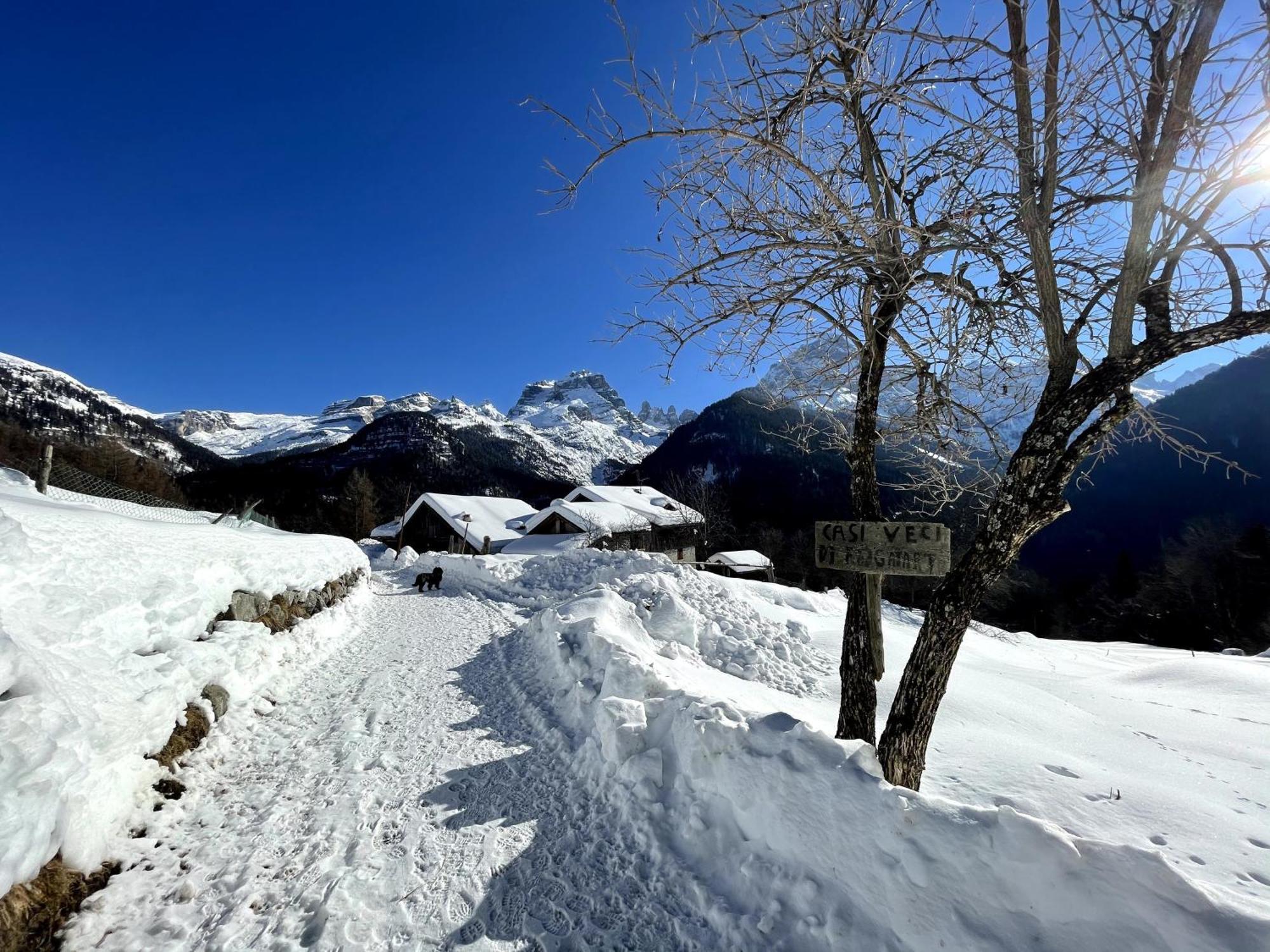 Villa Alpina Campiglio Madonna Eksteriør billede