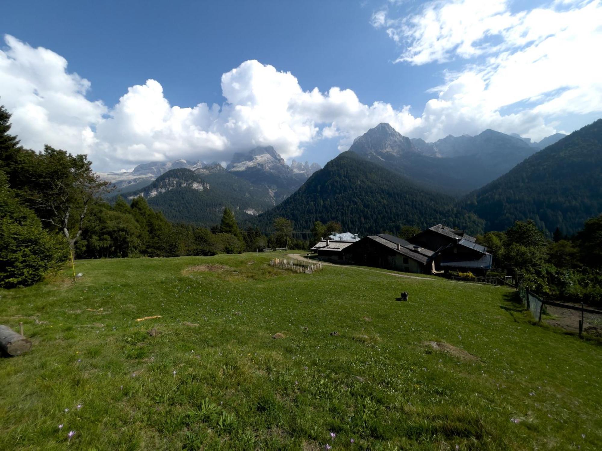 Villa Alpina Campiglio Madonna Eksteriør billede