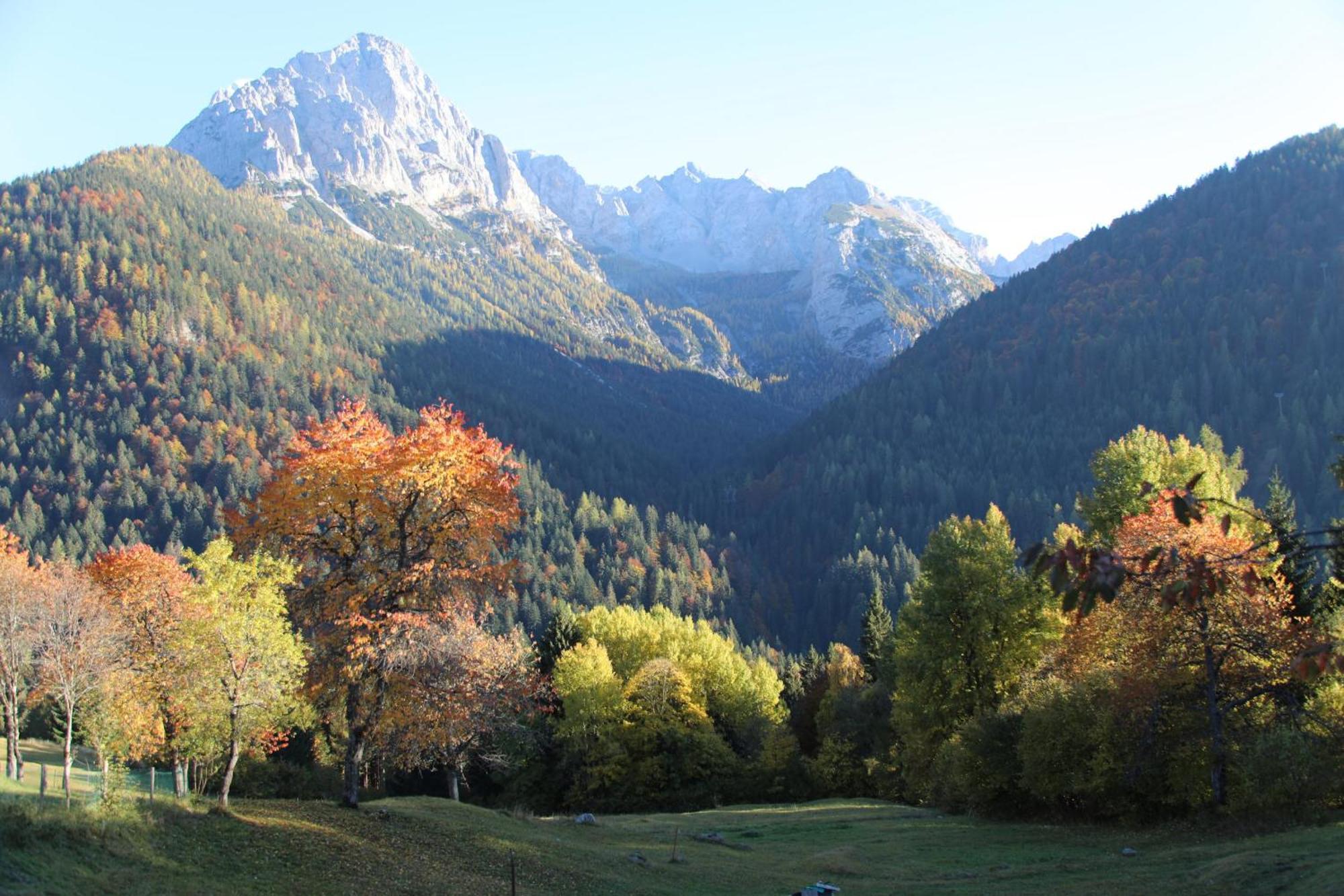 Villa Alpina Campiglio Madonna Eksteriør billede