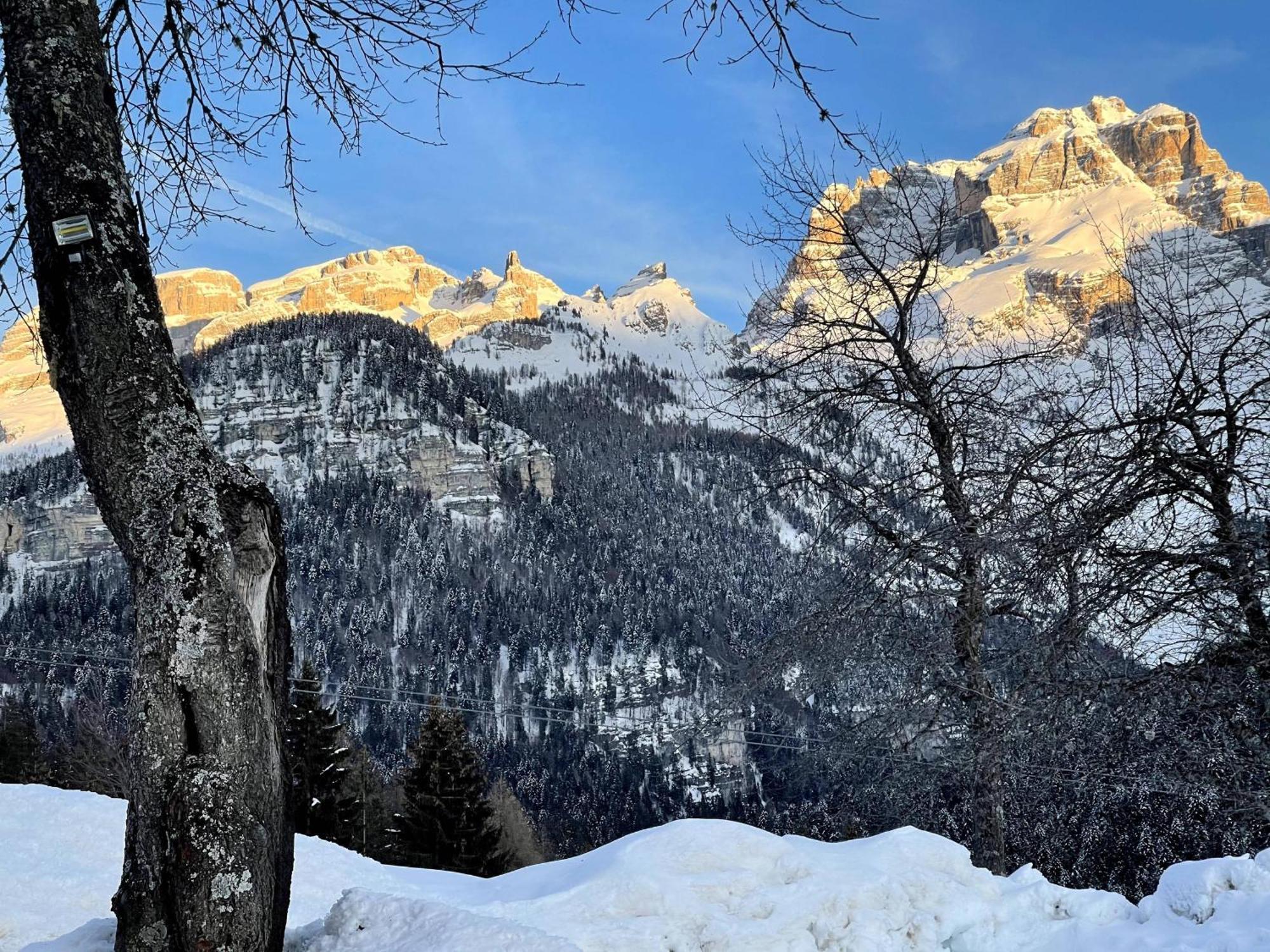 Villa Alpina Campiglio Madonna Eksteriør billede