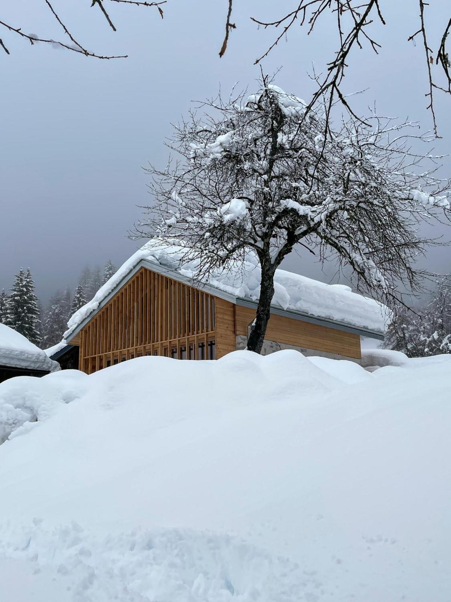 Villa Alpina Campiglio Madonna Eksteriør billede